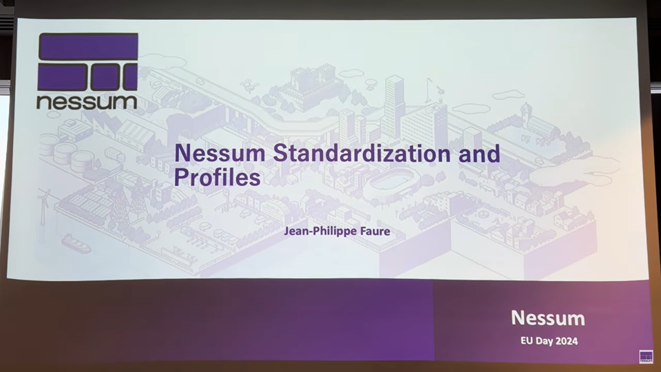 Nessum Standardization and Profiles